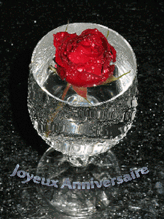 gif joyeux anniversaire rose rouge